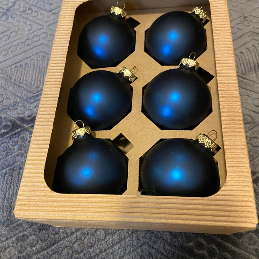 Elegant Blue Holiday Ornaments Set (#2)
